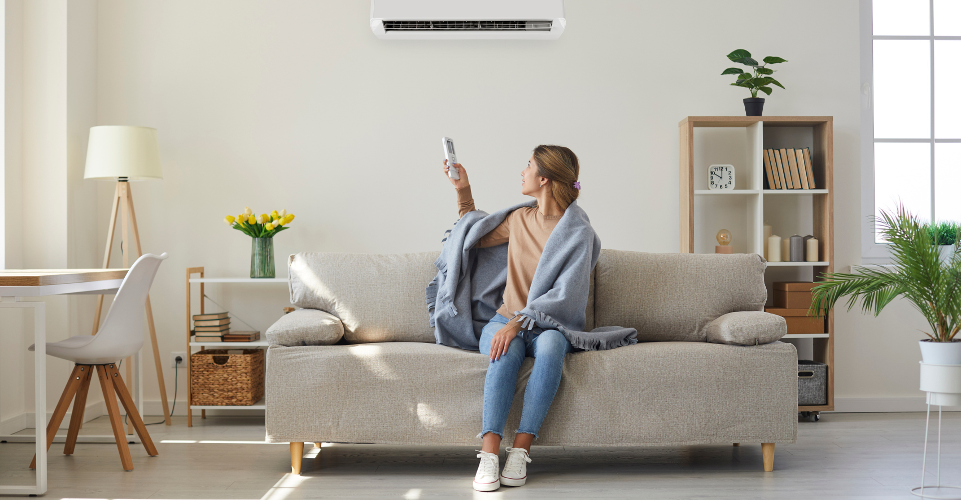 mini split AC unit